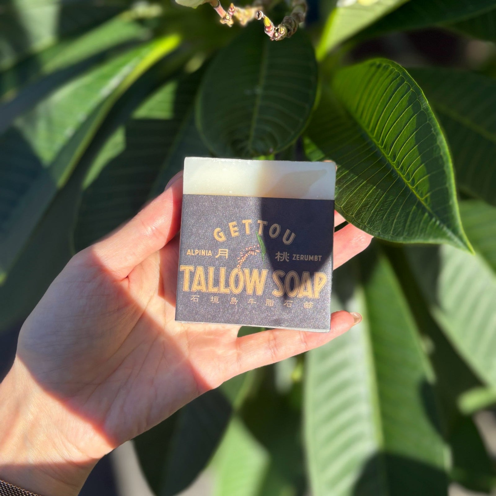 月桃TALLOW COFFEE SCRUB SOAP 100g